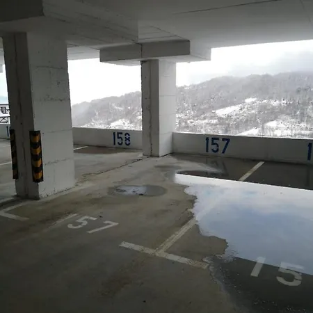 P20 Milmari, Deluxe Studio, Kopaonik