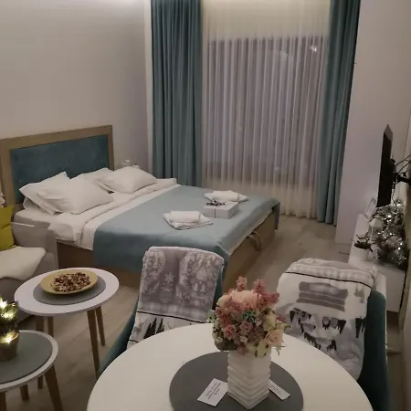 P20 Milmari, Deluxe Studio, Apartament Kopaonik