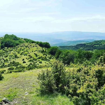 P20 Milmari, Deluxe Studio, * Kopaonik