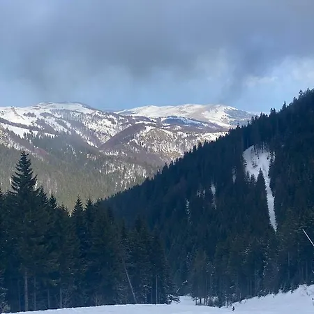 P20 Milmari, Deluxe Studio, *