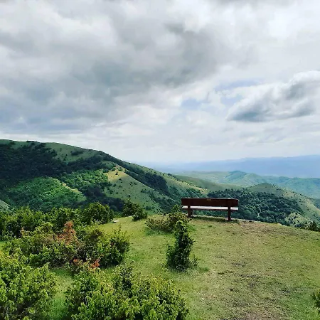 P20 Milmari, Deluxe Studio, Apartman Kopaonik