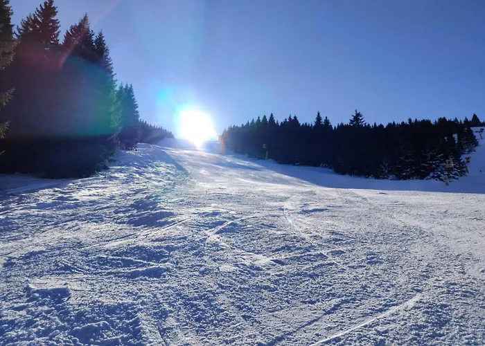 Daire P20 Milmari, Deluxe Studio, *