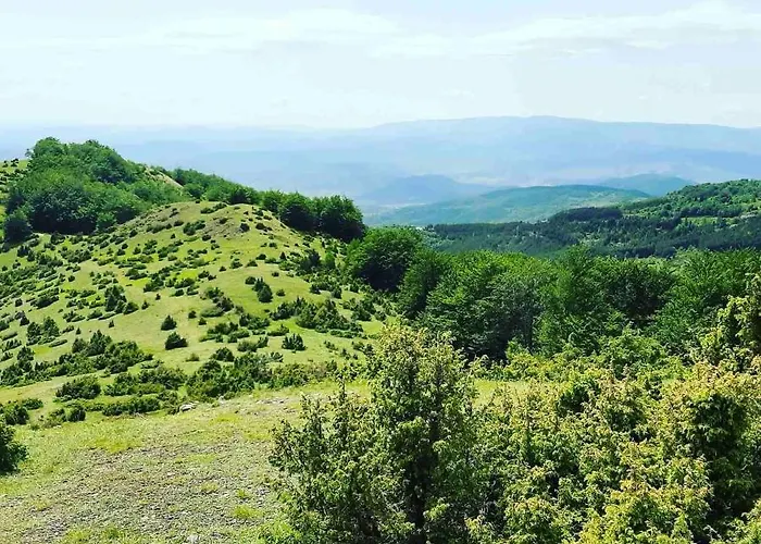 P20 Milmari, Deluxe Studio, * Kopaonik