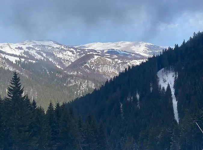 P20 Milmari, Deluxe Studio, *