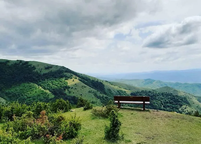 P20 Milmari, Deluxe Studio, Daire Kopaonik